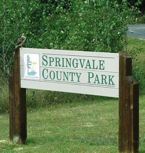 A photo of the Springvale Park sign in Cambridge, Minnesota